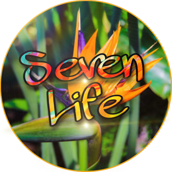 Seven Life 